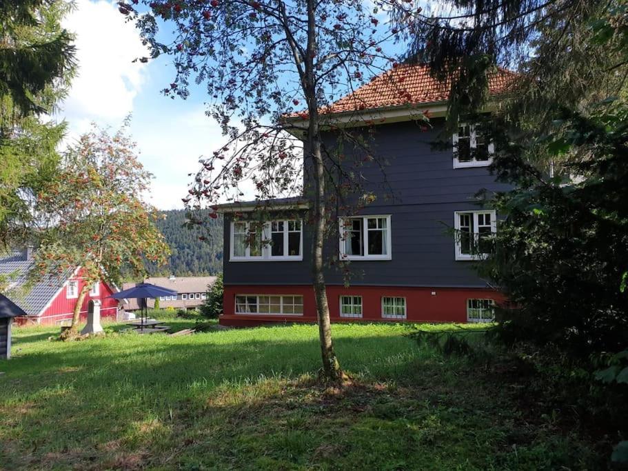 Gruppenhaus Mit Grillkota Fuer 16 Personen In Hahnenklee Villa Goslar Exterior photo